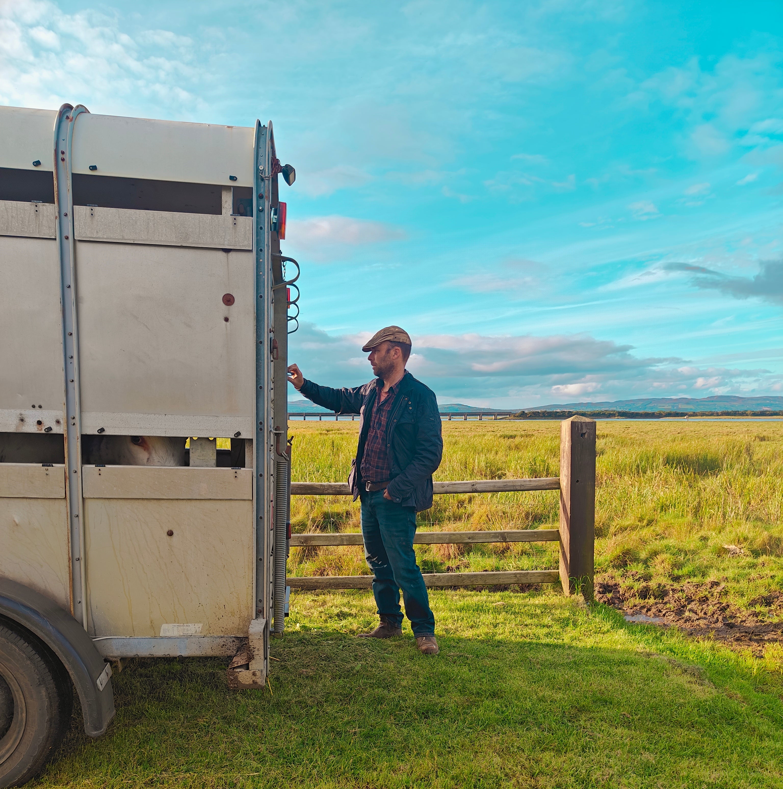 Man standing next to a cattle trailer in a grassy field with a clear sky at the Roe Estuary Nature Reserve.