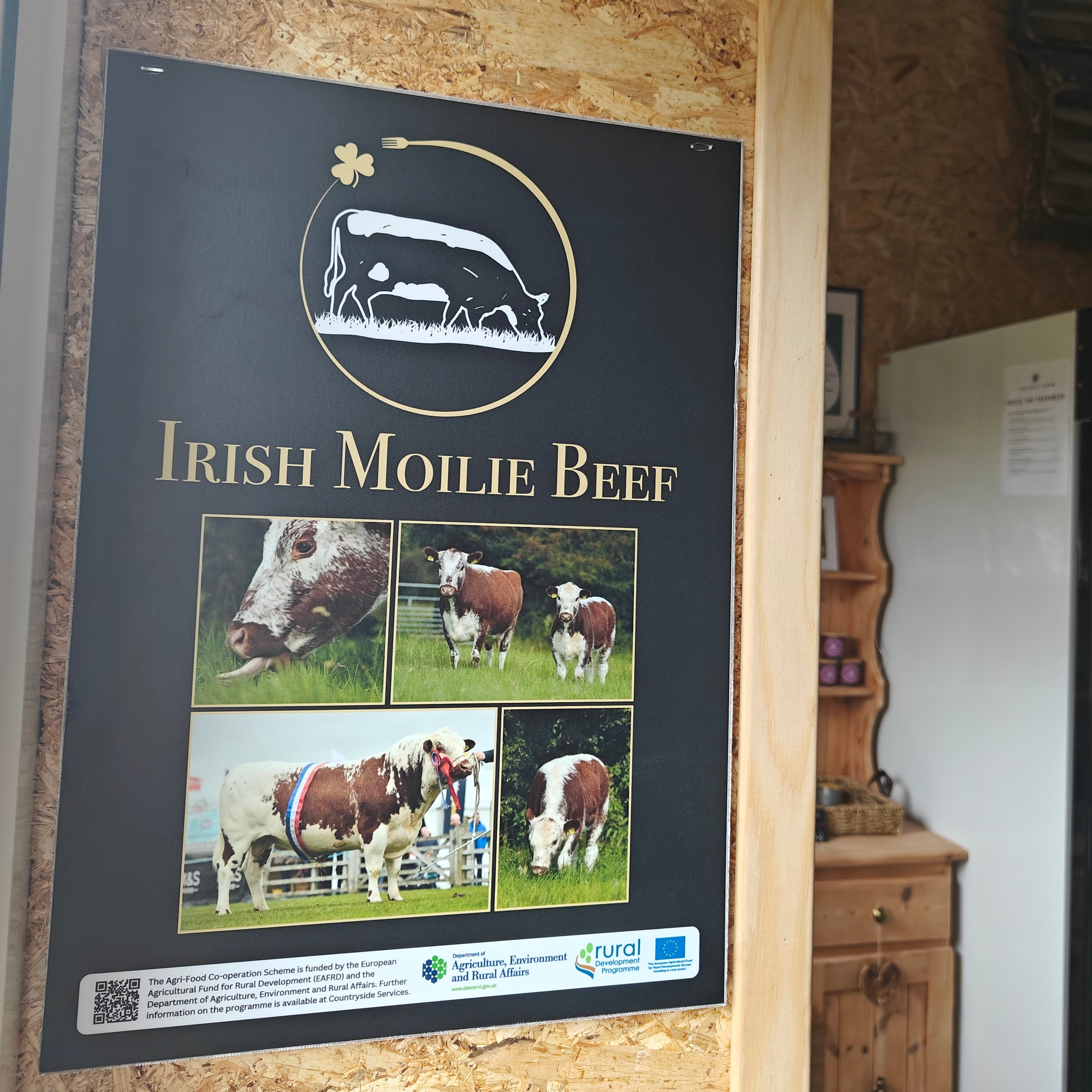 Irish Moilie Beef Certified
