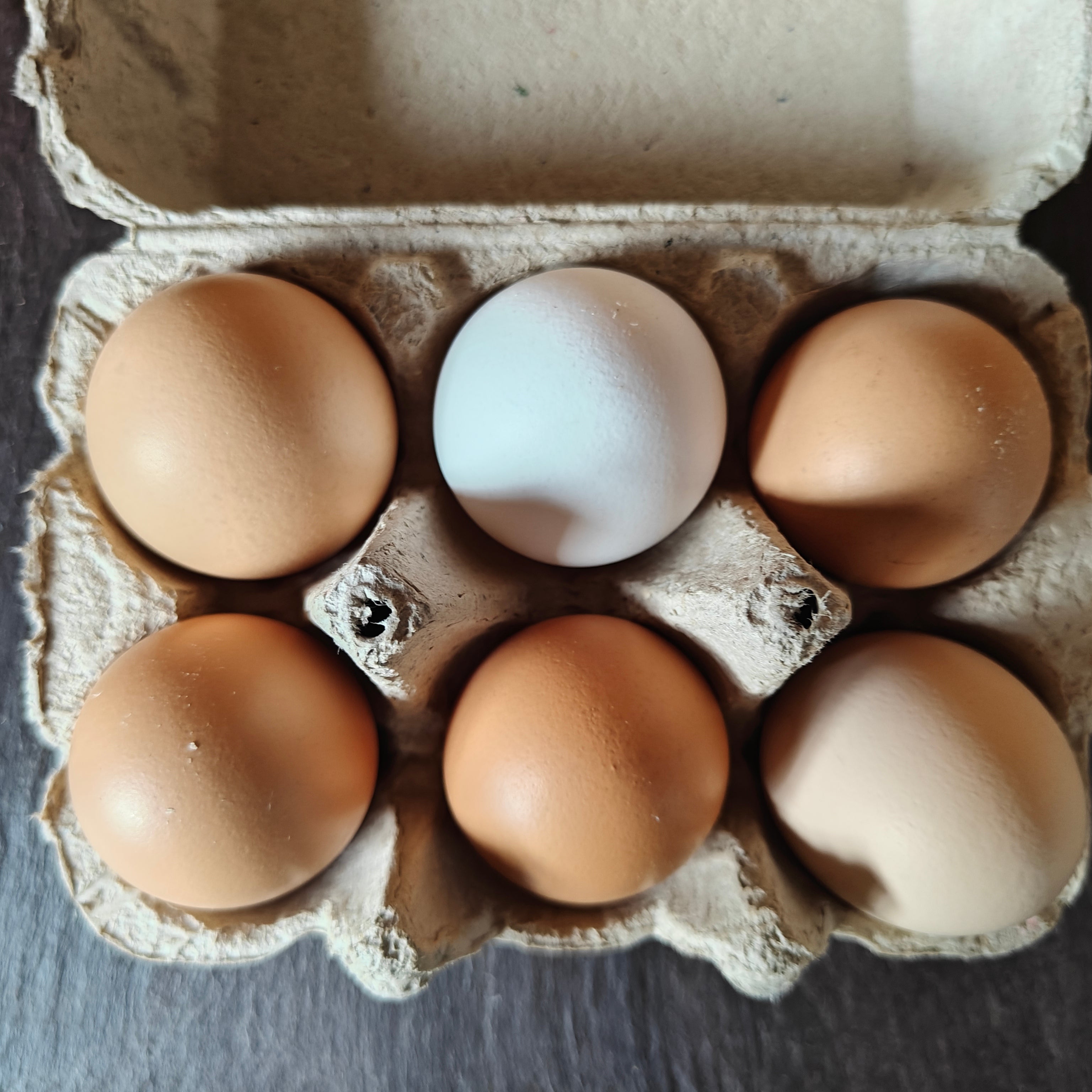 Carton of eggs with a mix of brown and one white egg on a dark surface